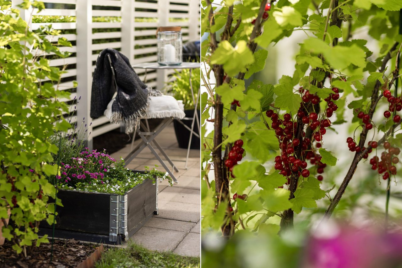 Beckomberga ängsväg 10