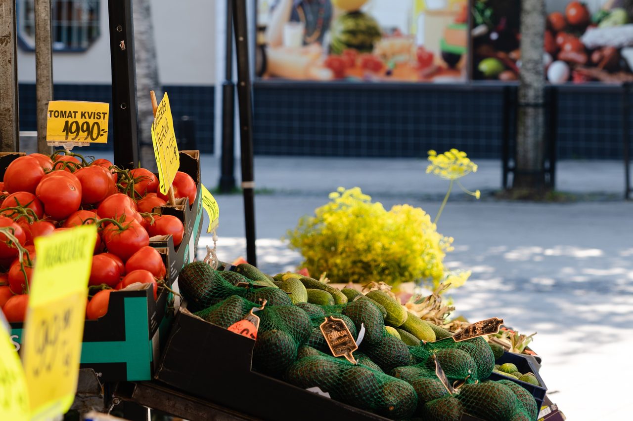 Elias lönnrots väg 13, 2tr.