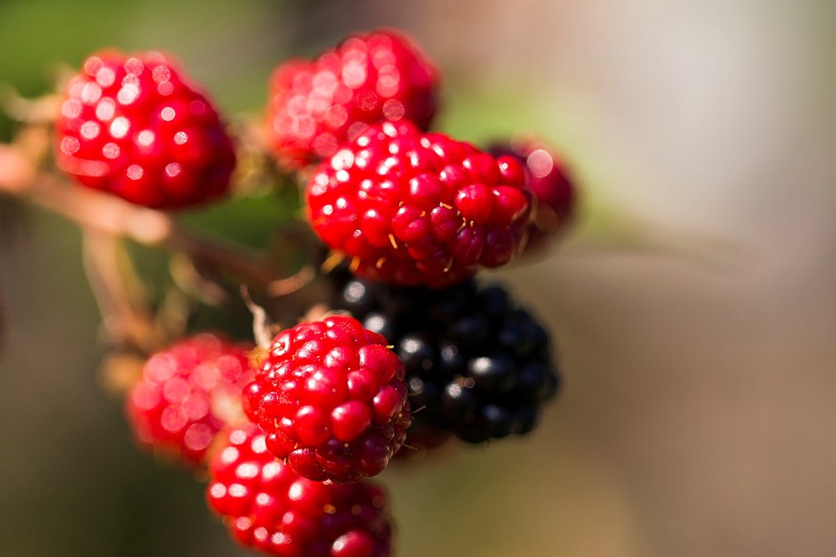 Tallbacksvägen 5, 1 tr.