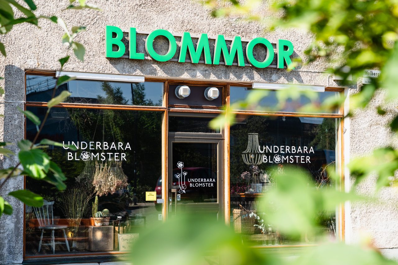 Björnsonsgatan 138. 6,5/8.tr