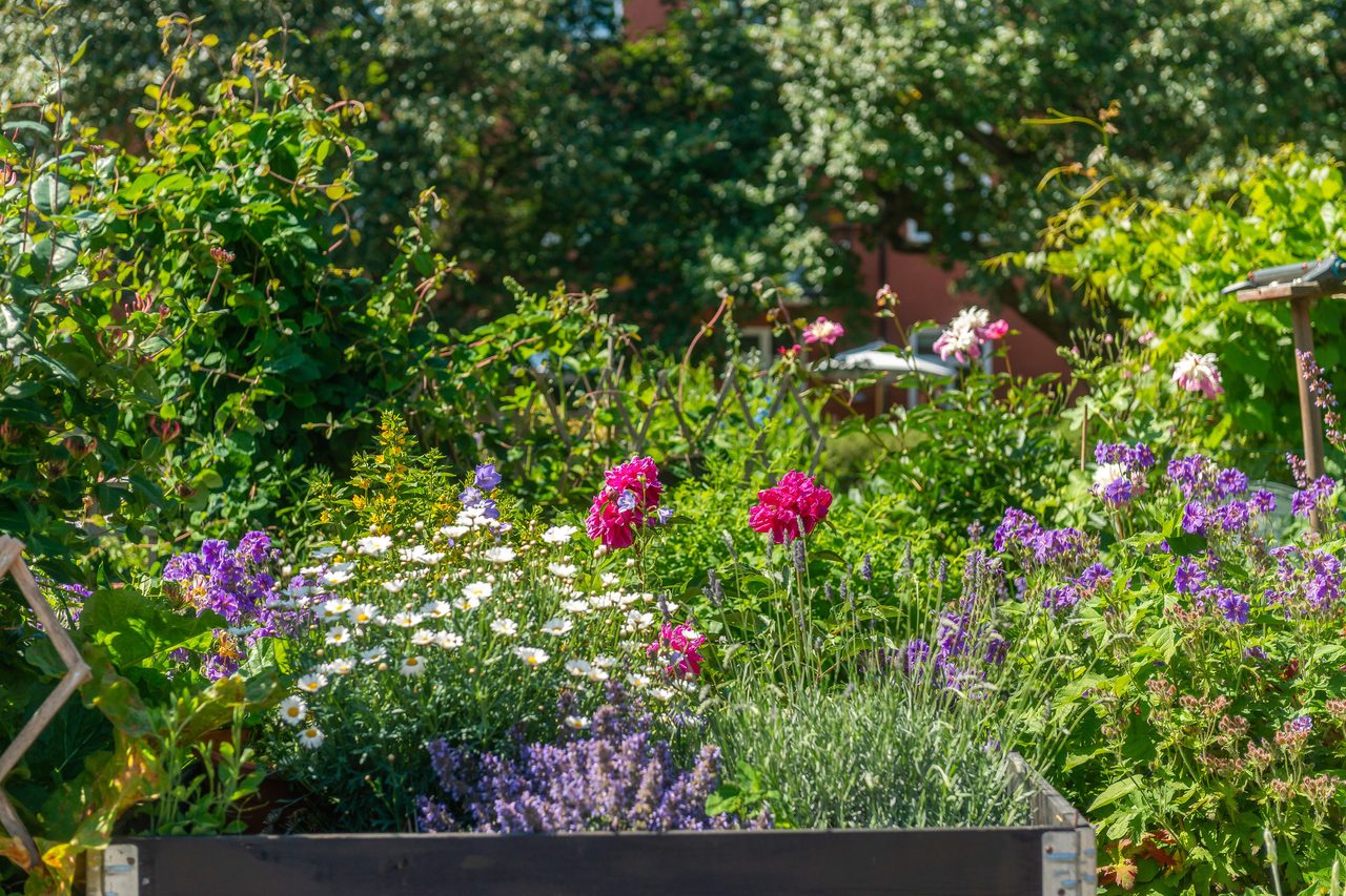 Styresman Sanders väg 11