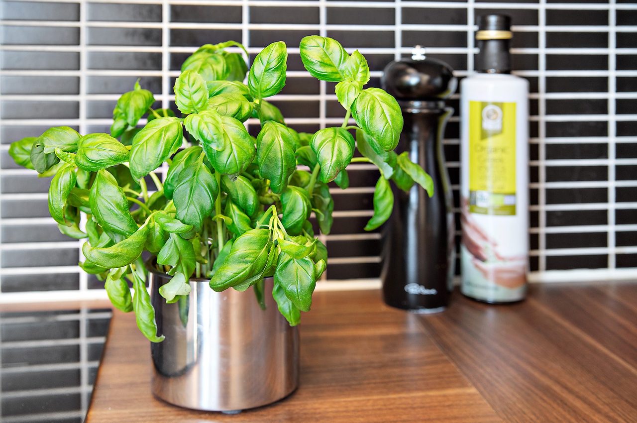 Lötsjövägen 1 A, 2tr