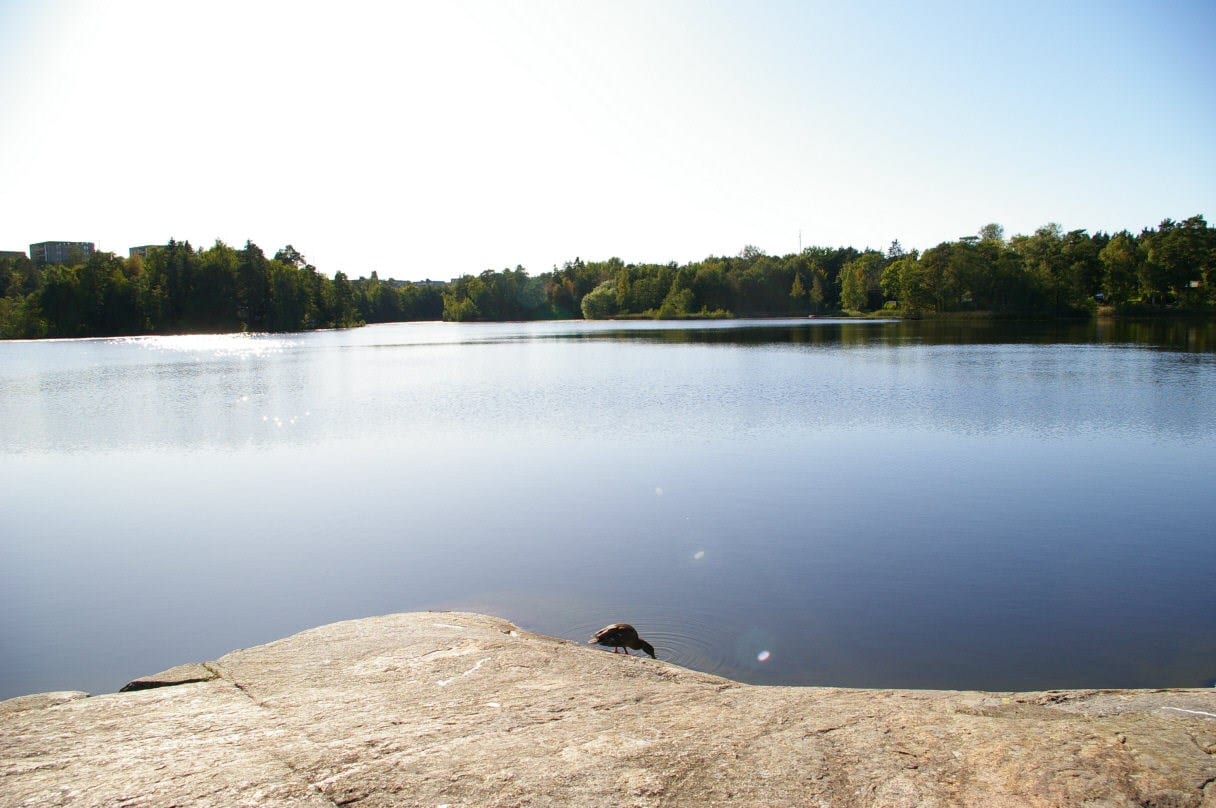 Edövägen 8C
