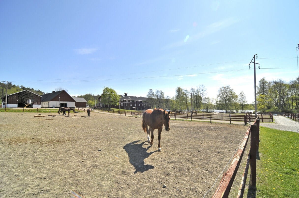 Nacka Ridklubb i Velamsund