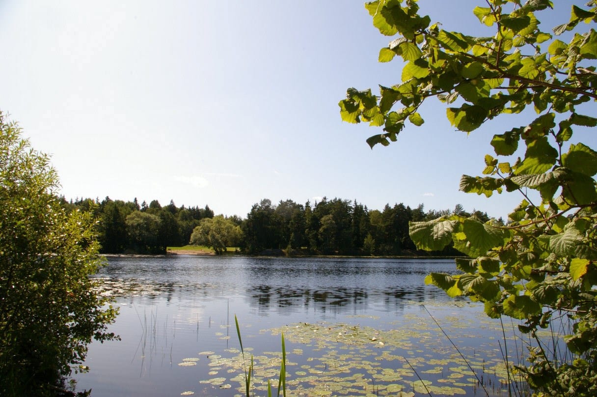 Kocktorpssjön