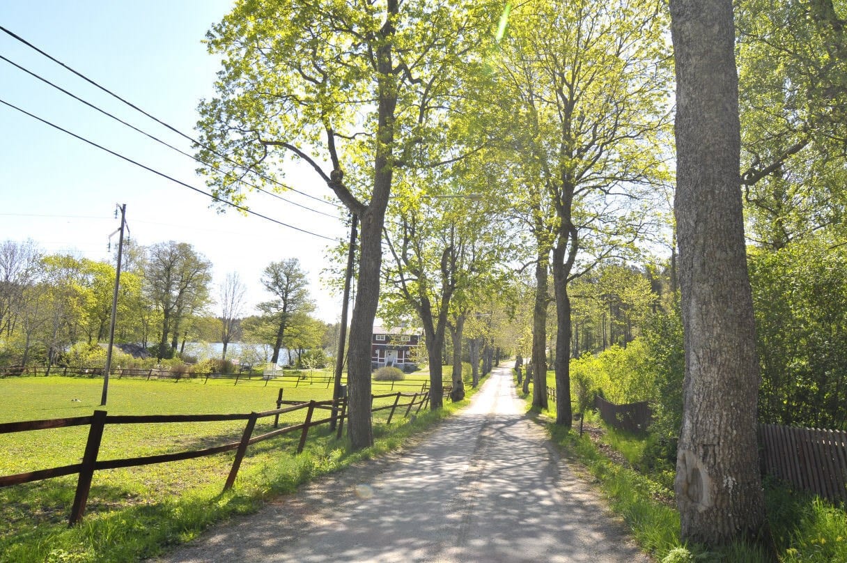 Det finns härliga promenadvägar i området!