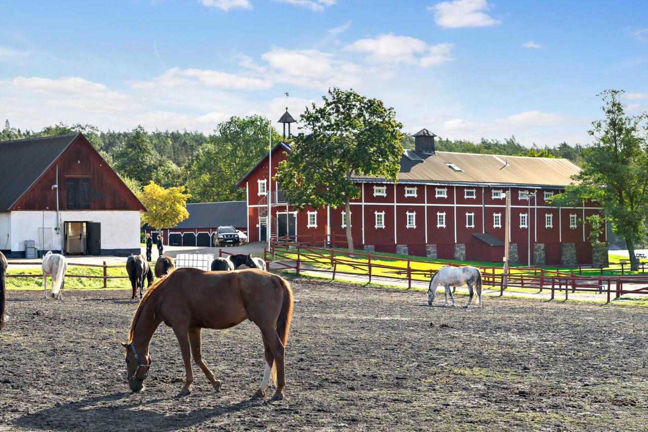 Nacka ridklubb i Velamsund