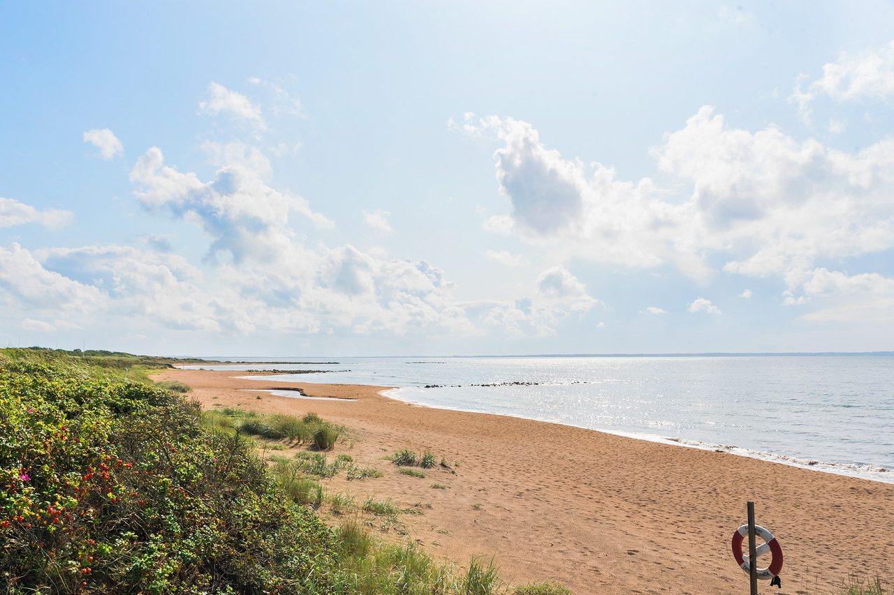 Långsträckt sandstrand