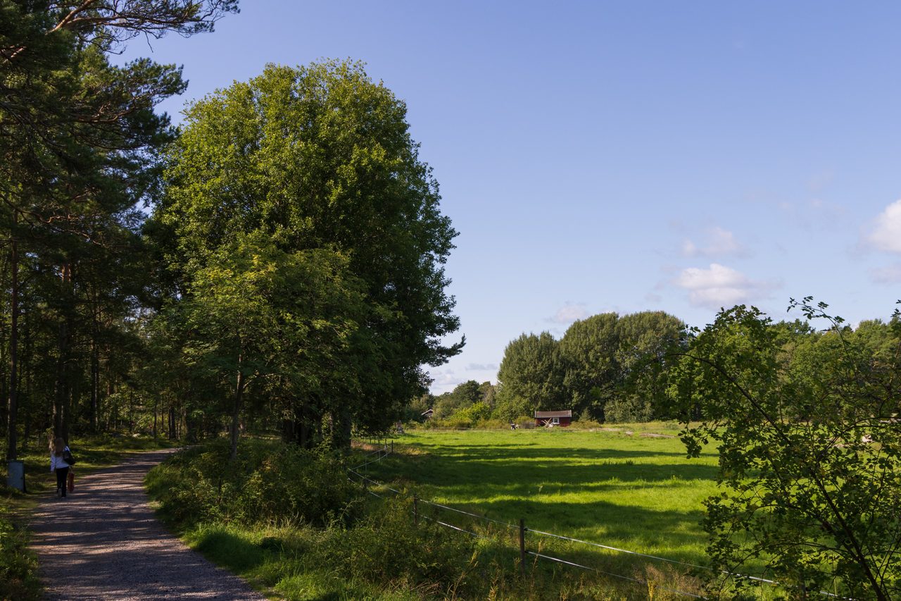 Husarö Kallviksvägen 19