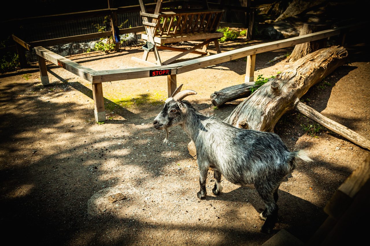 Instrumentvägen 37, 1tr