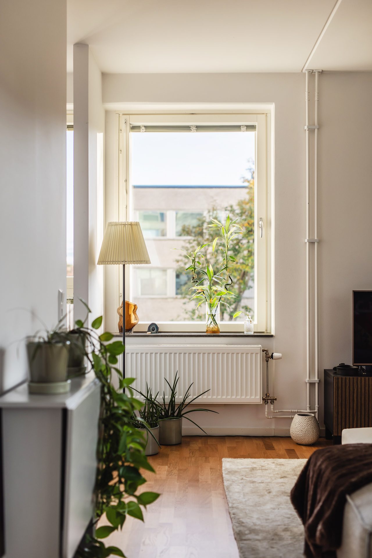 Agnes lagerstedts gata 25