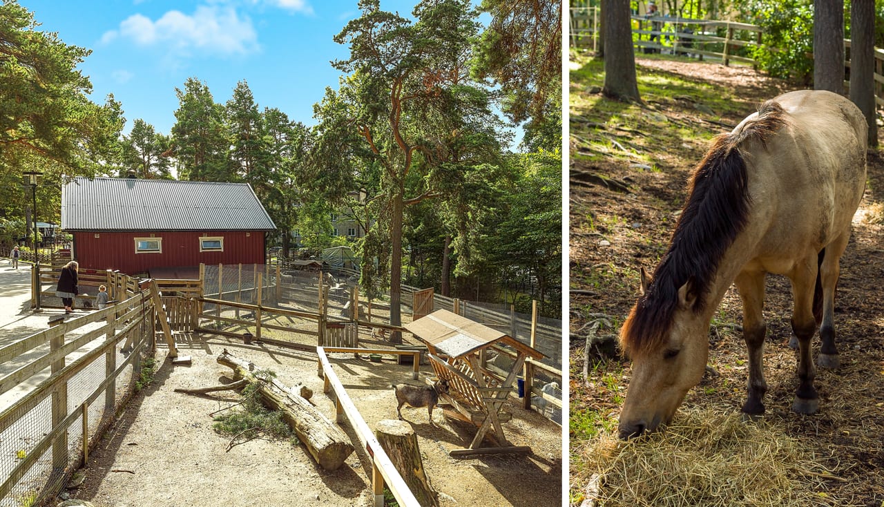 Mysiga Manhemsplatsen intill fastigheten