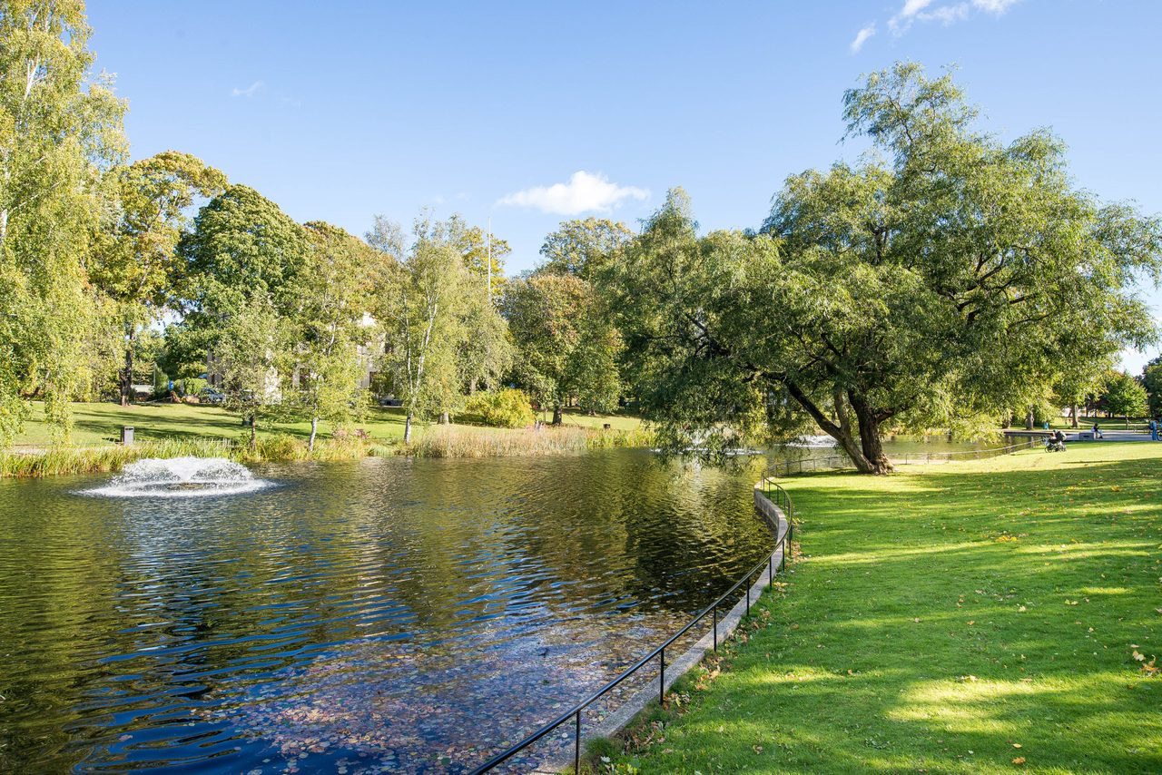 Doktor widerströms gata 35