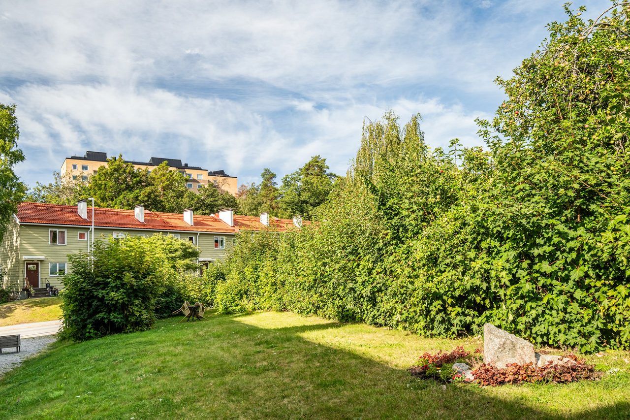 Föreningens trädgård på baksidan