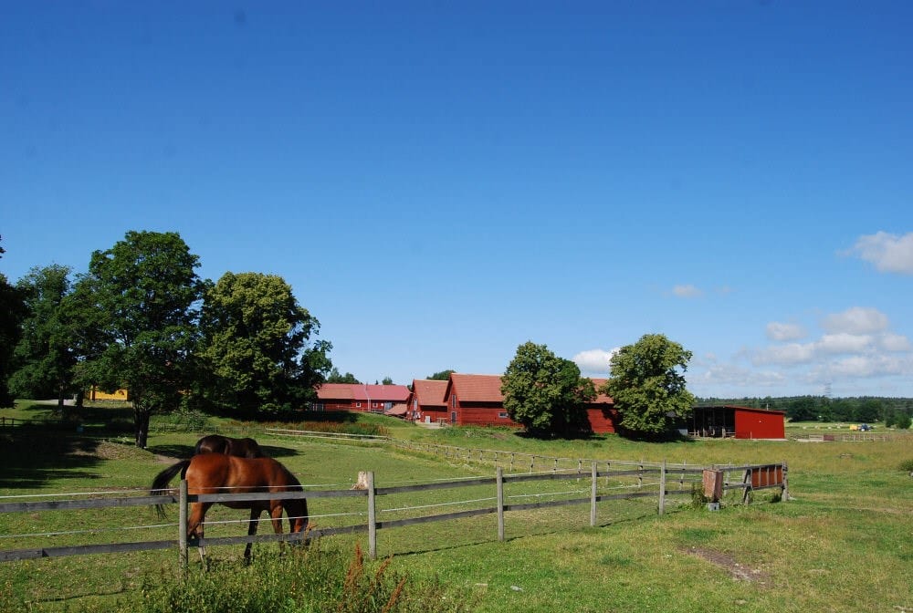 Molnsättra gård med hästar