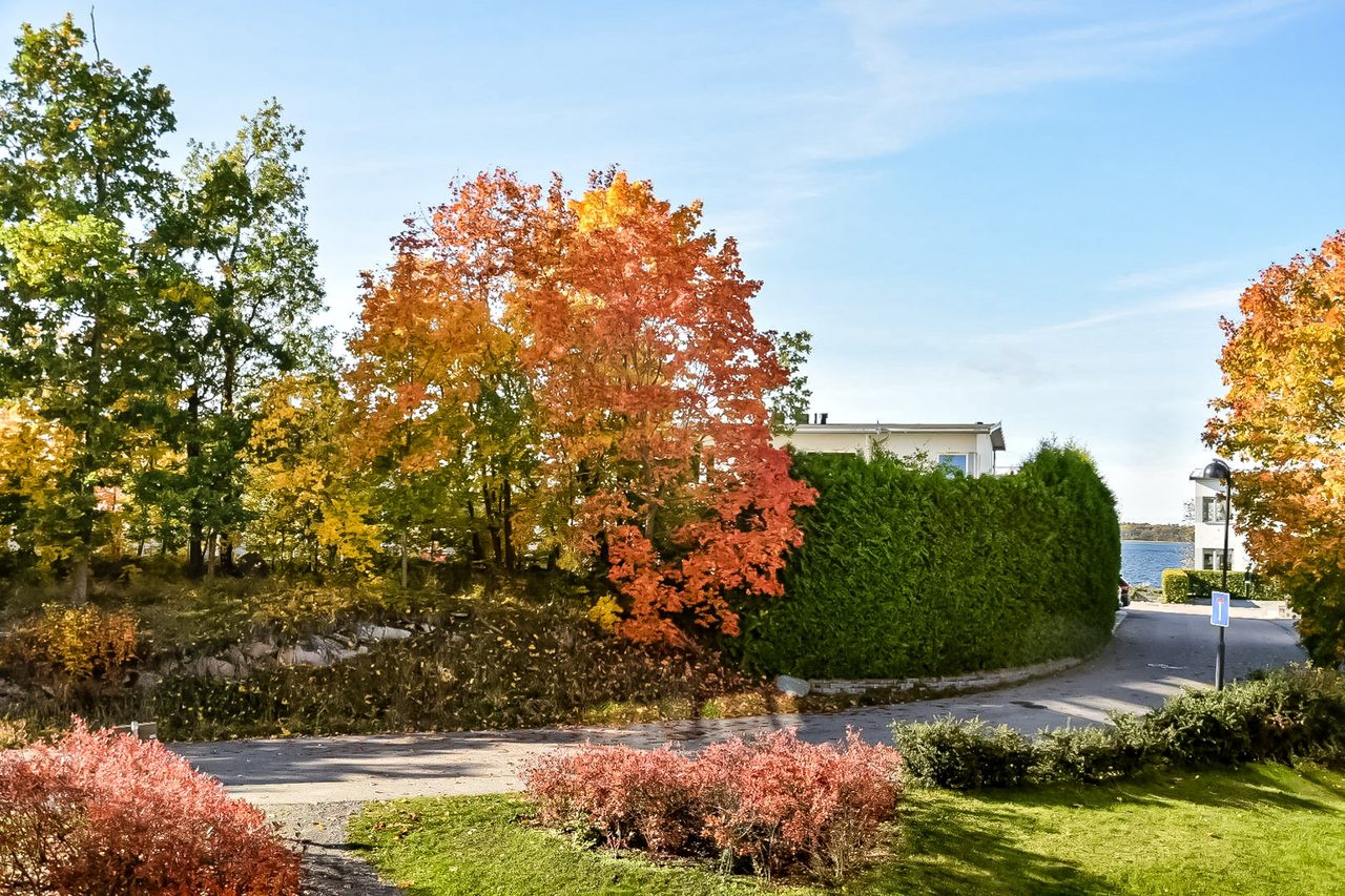 Anton johanssons väg 12