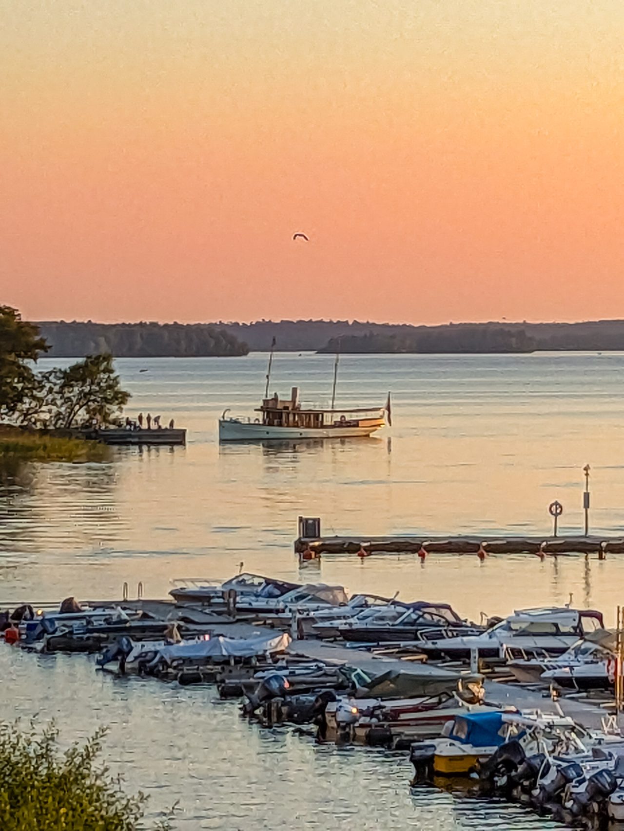 Anton johanssons väg 2