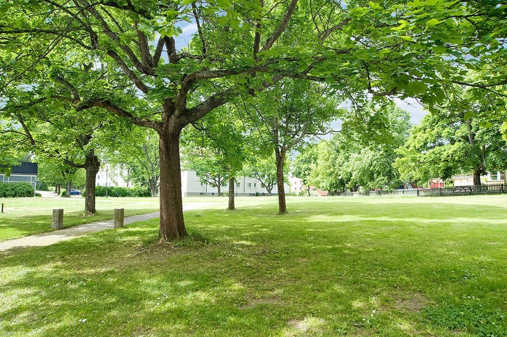 Promenadstråk till centrum
