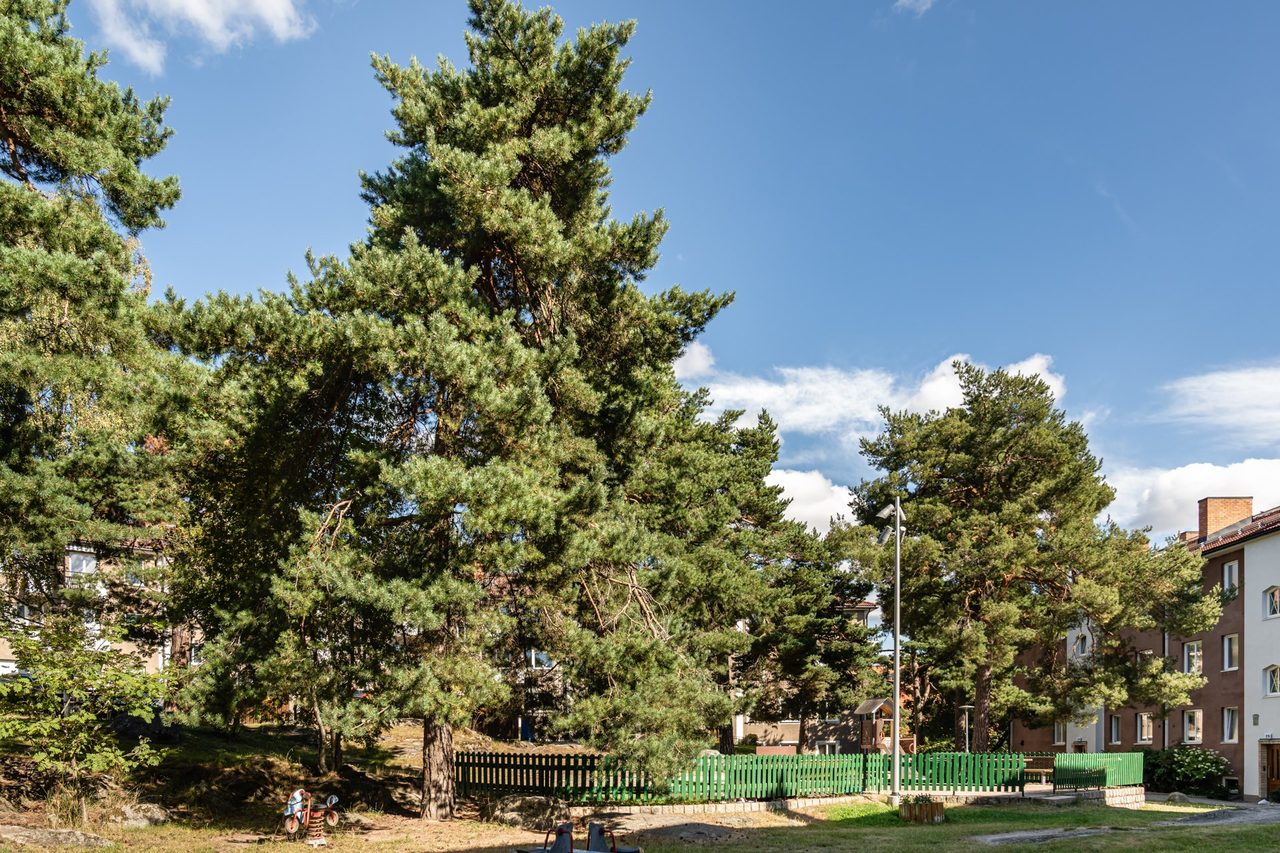 Bäckaskiftsvägen 11