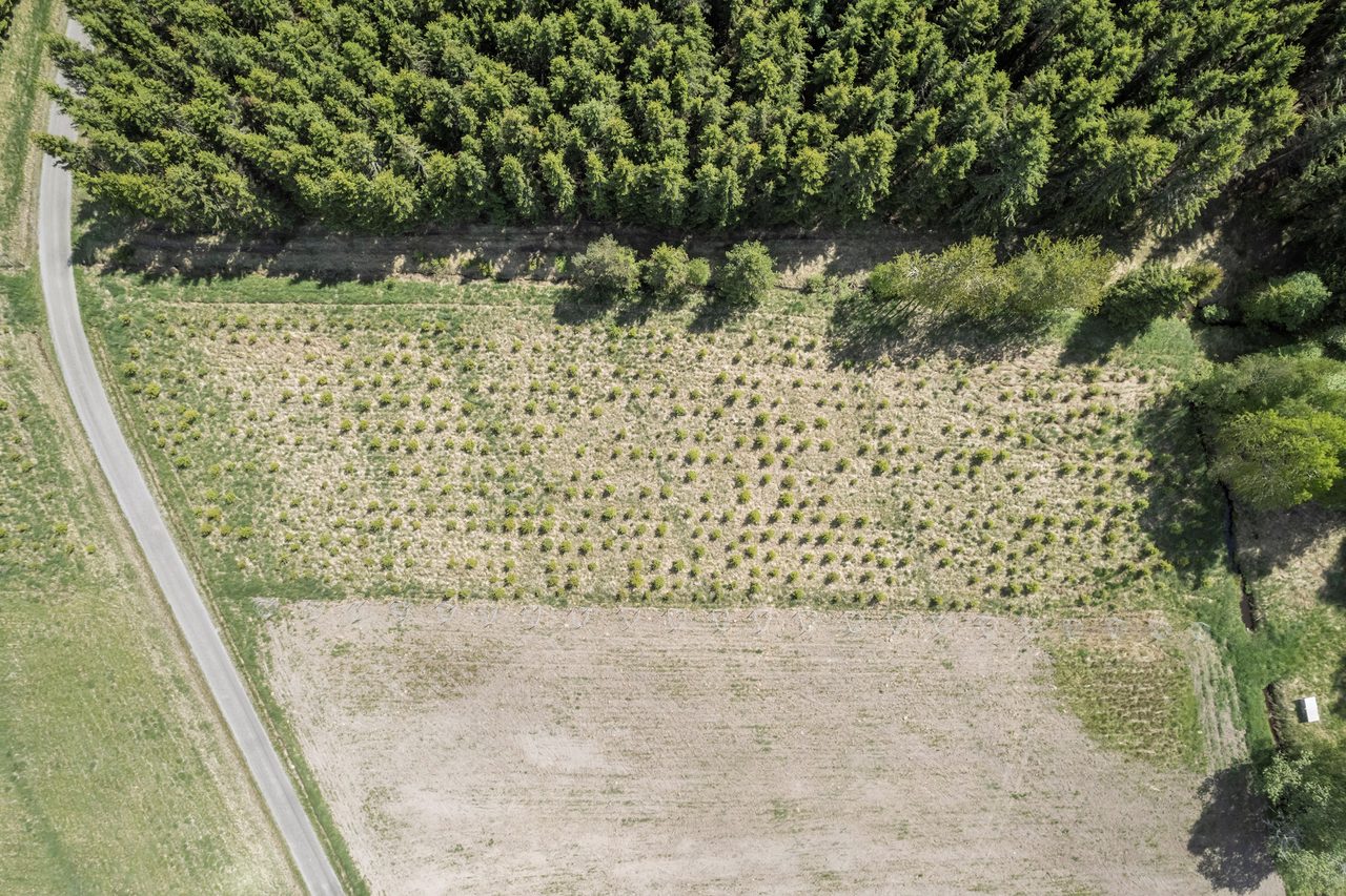 Lindveden Hökemossen 2