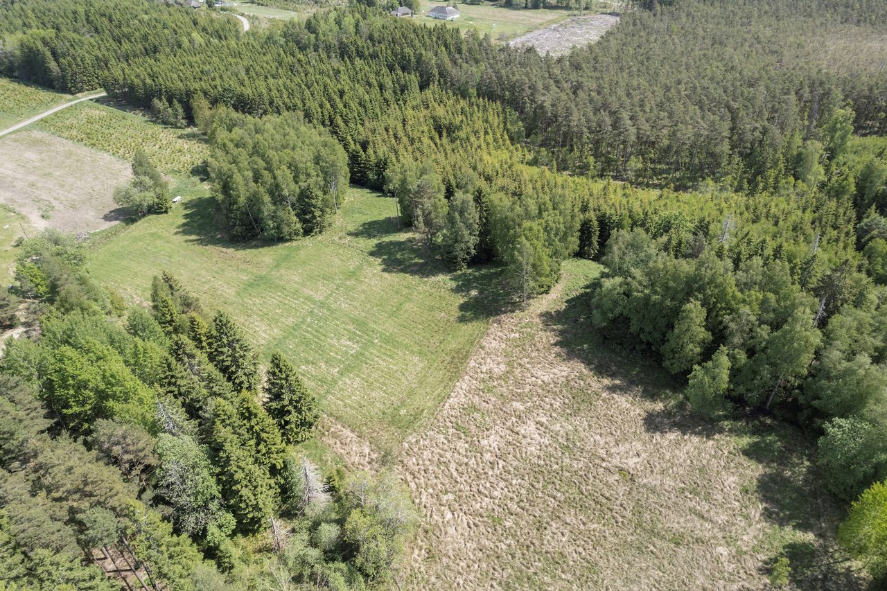 Lindveden Hökemossen 2