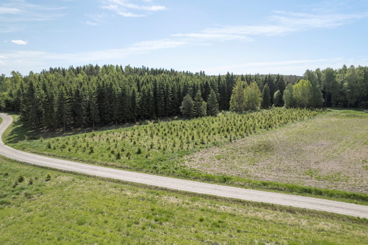 Lindveden Hökemossen 2