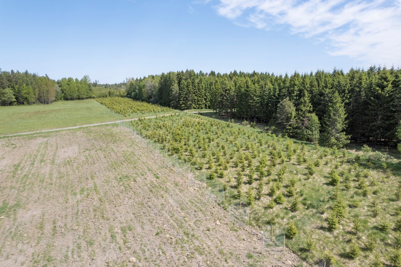 Lindveden Hökemossen 2