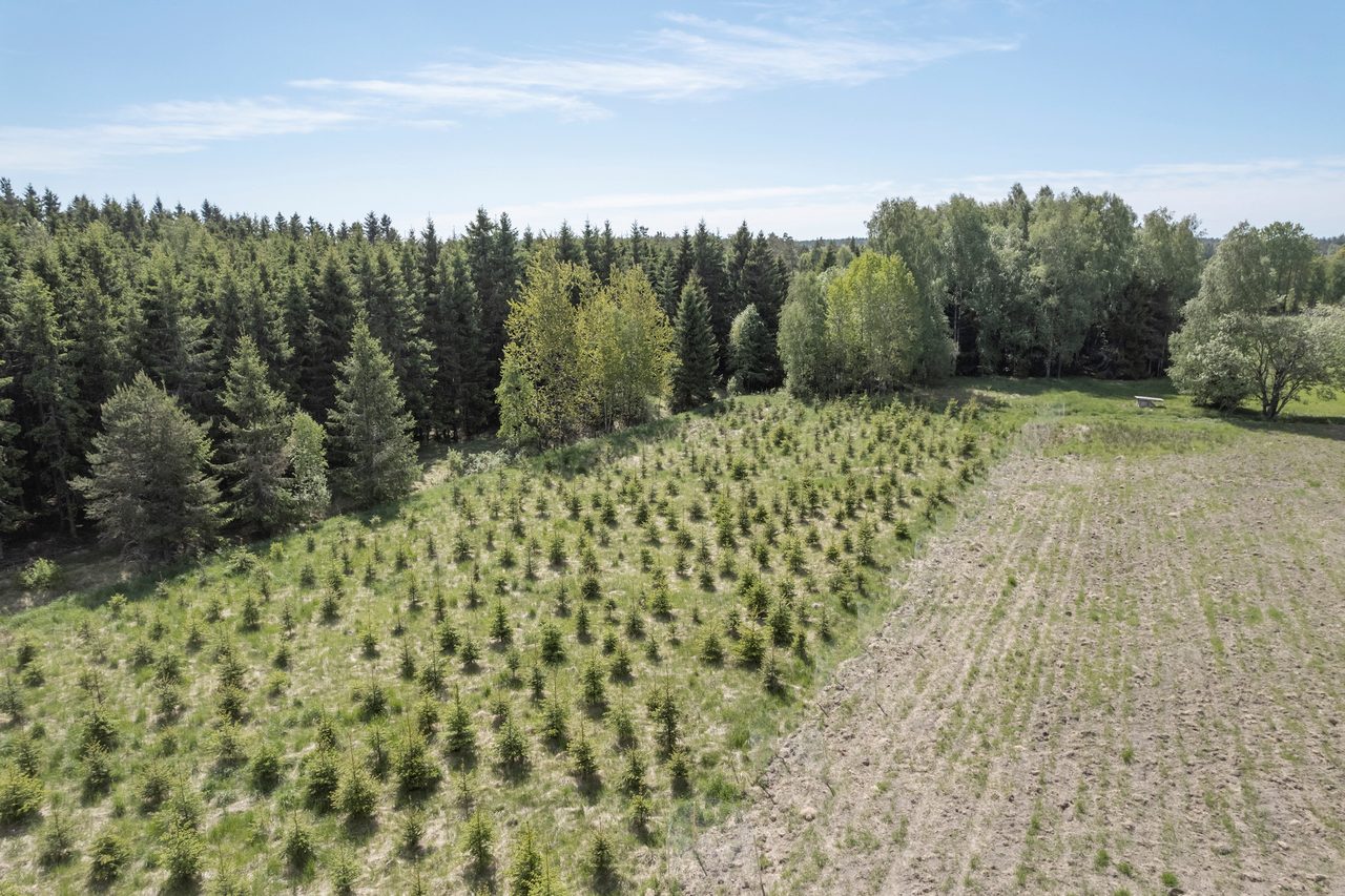 Lindveden Hökemossen 2