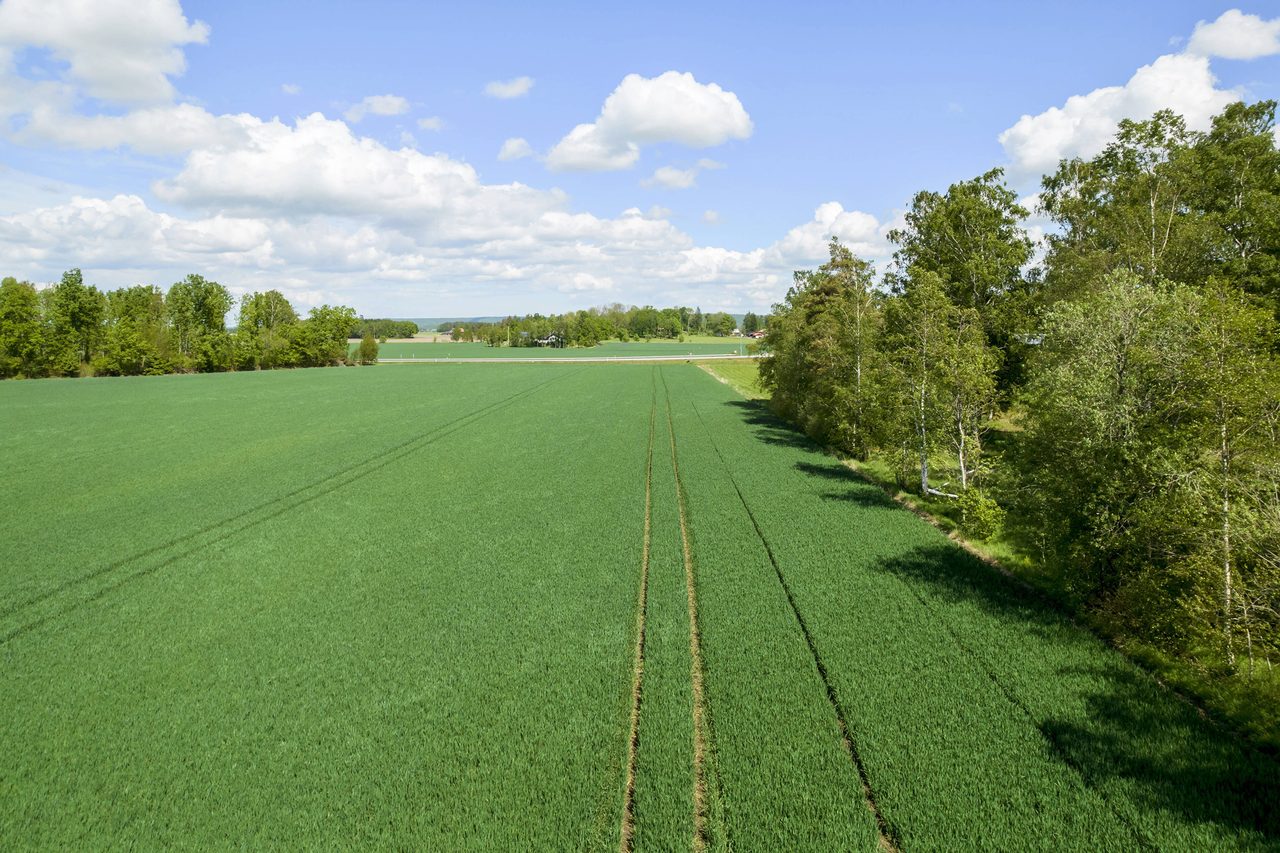 Gärdhems-Artorp 4:3  - Tomt B