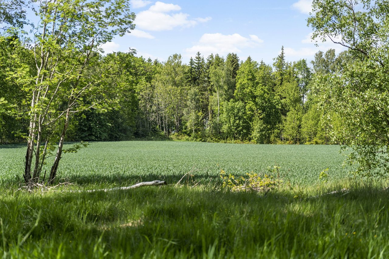 Sommarbild från platsen!