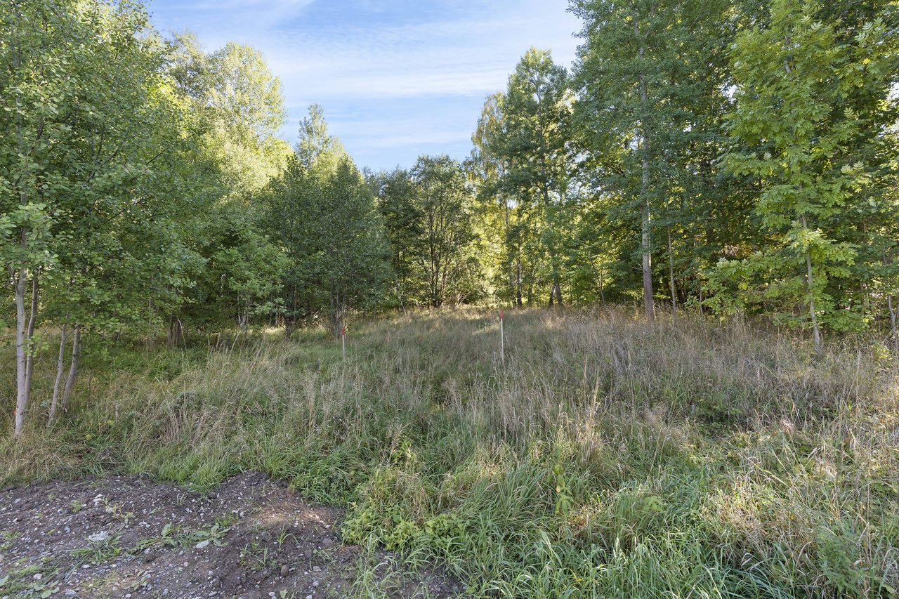 Lummig tomt längst in på återvändsgata.