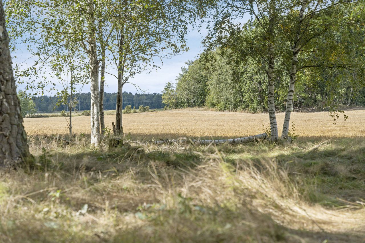 På sensommaren är det lika vackert när åkern är slagen.