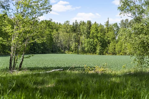 Gärdhems-Artorp 4:2 - Tomt A