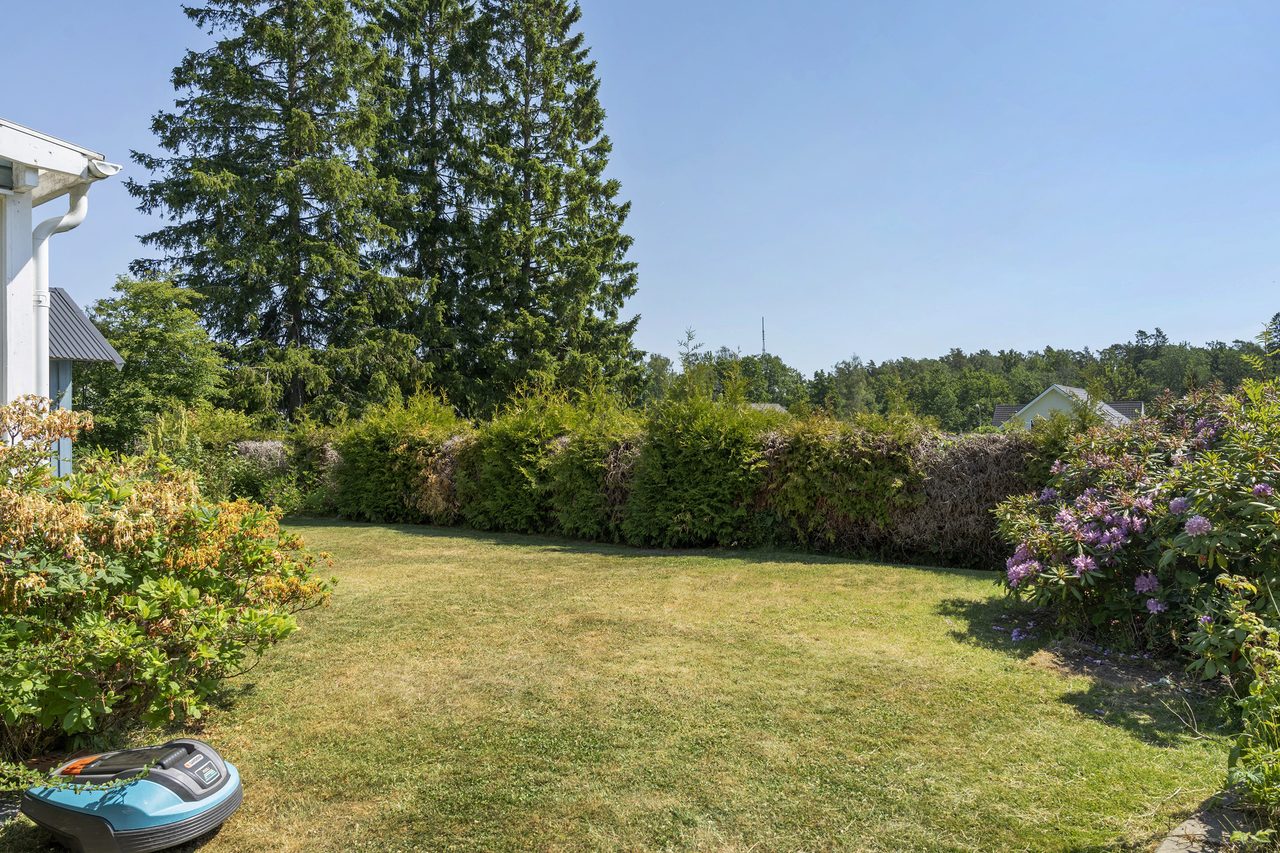 Bakom häcken möts man av en slänt ner mot allmänning med lekplats.