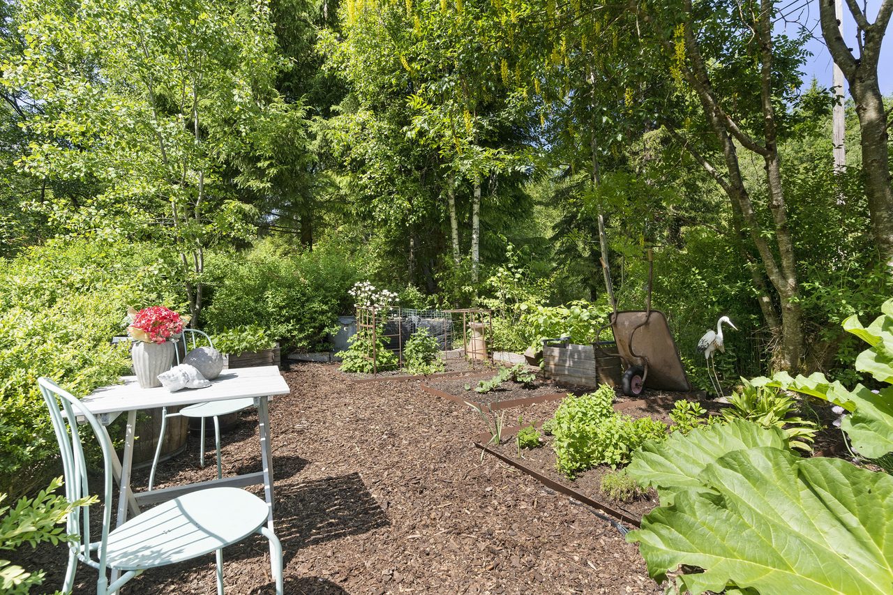 Köksträdgård med både kryddor, rabarber och annat gott.