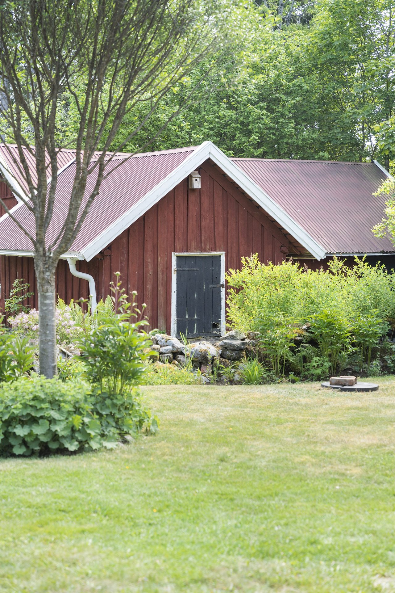 Uthuset kan med fördel renoveras till gäststuga.
