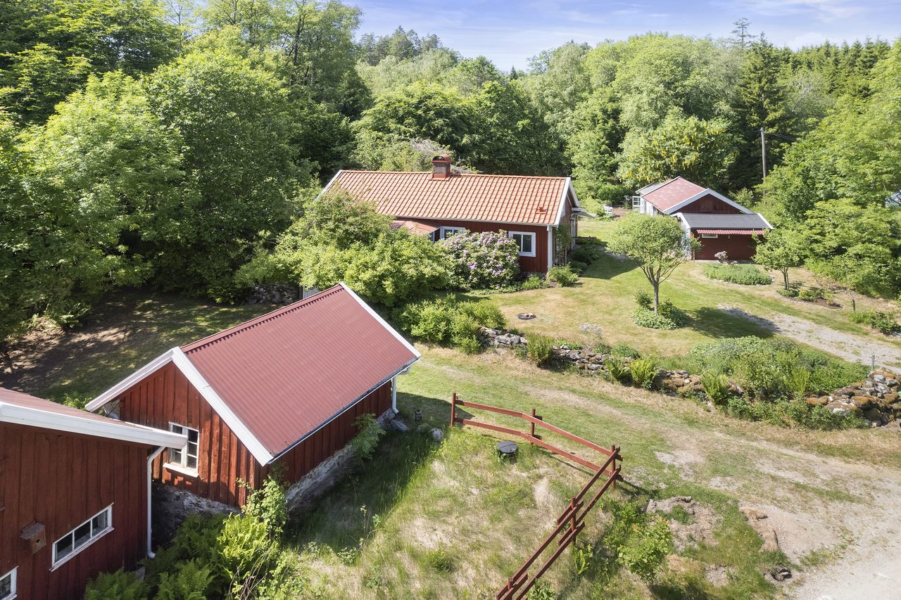 Den stora tomten är grönskande och rogivande.