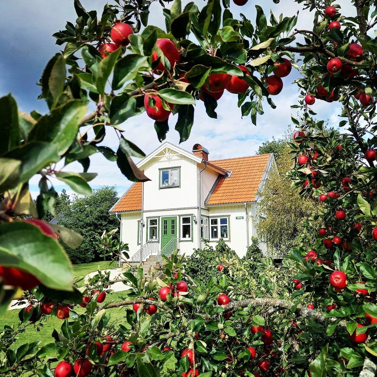 Välkomna till Majorsvägen 9!