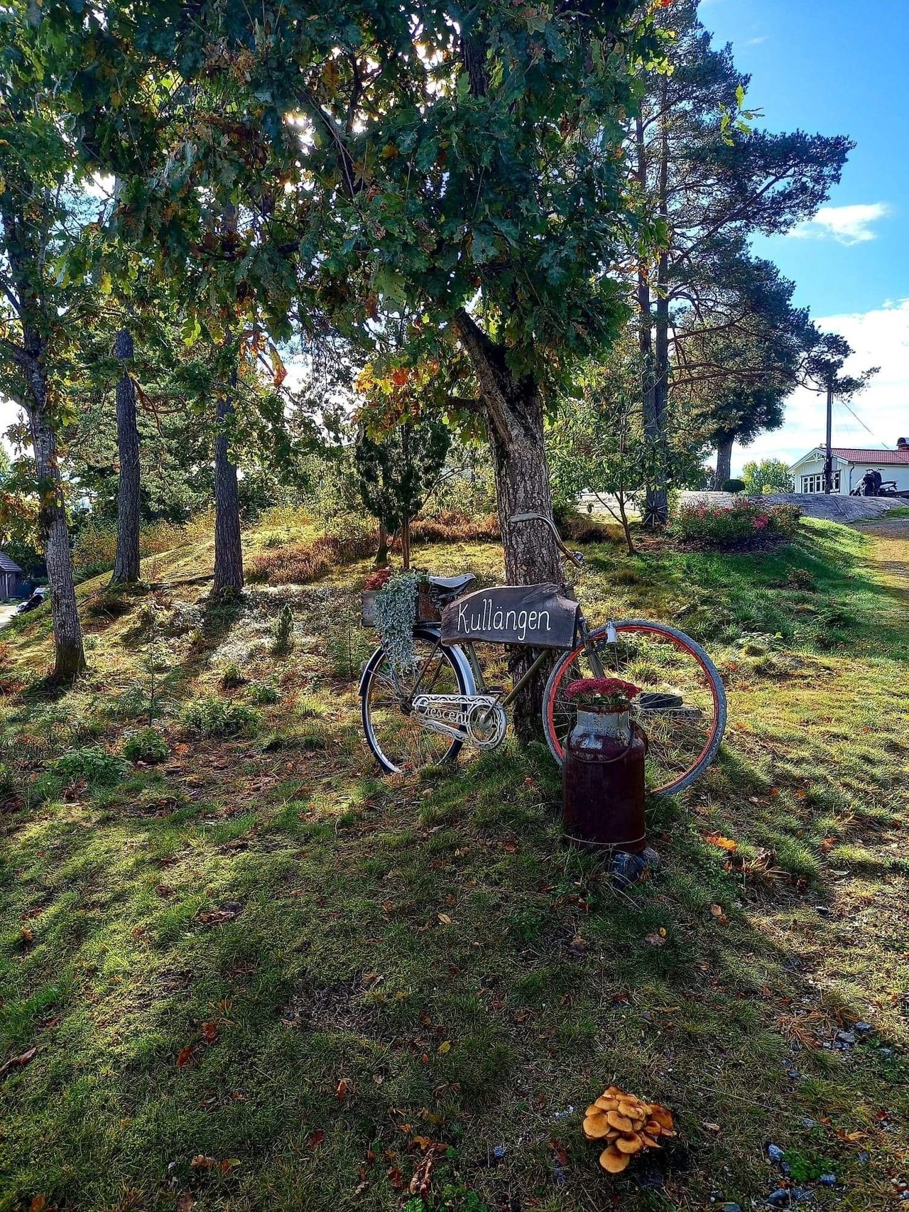 Sommarbilder från fastigheten.