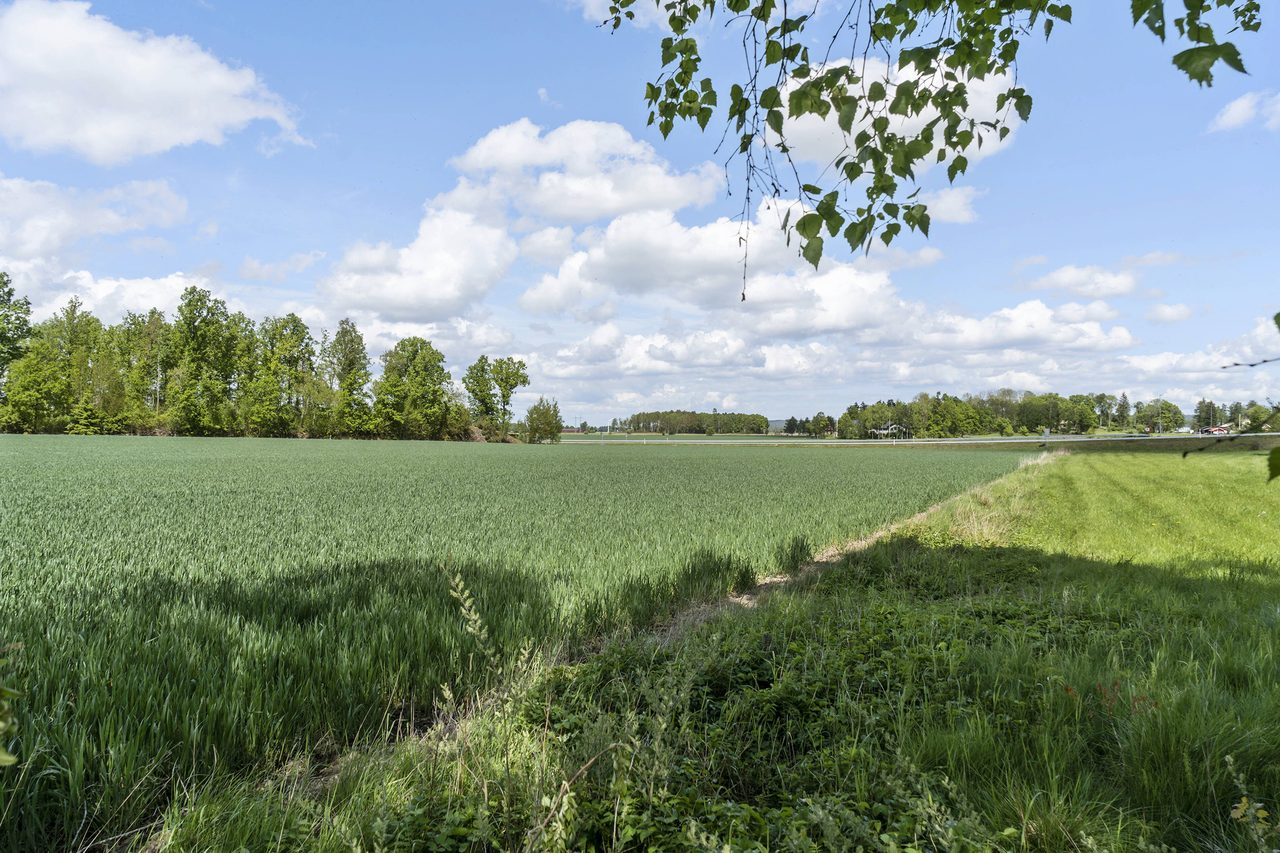 Utsikt över åkrar omkring.