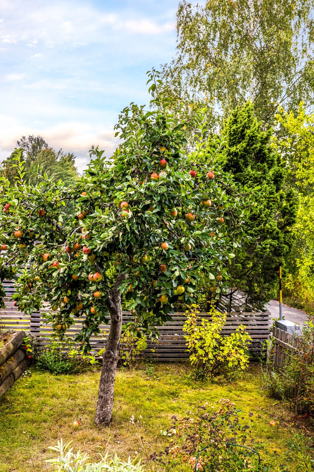 Bergvägen 25