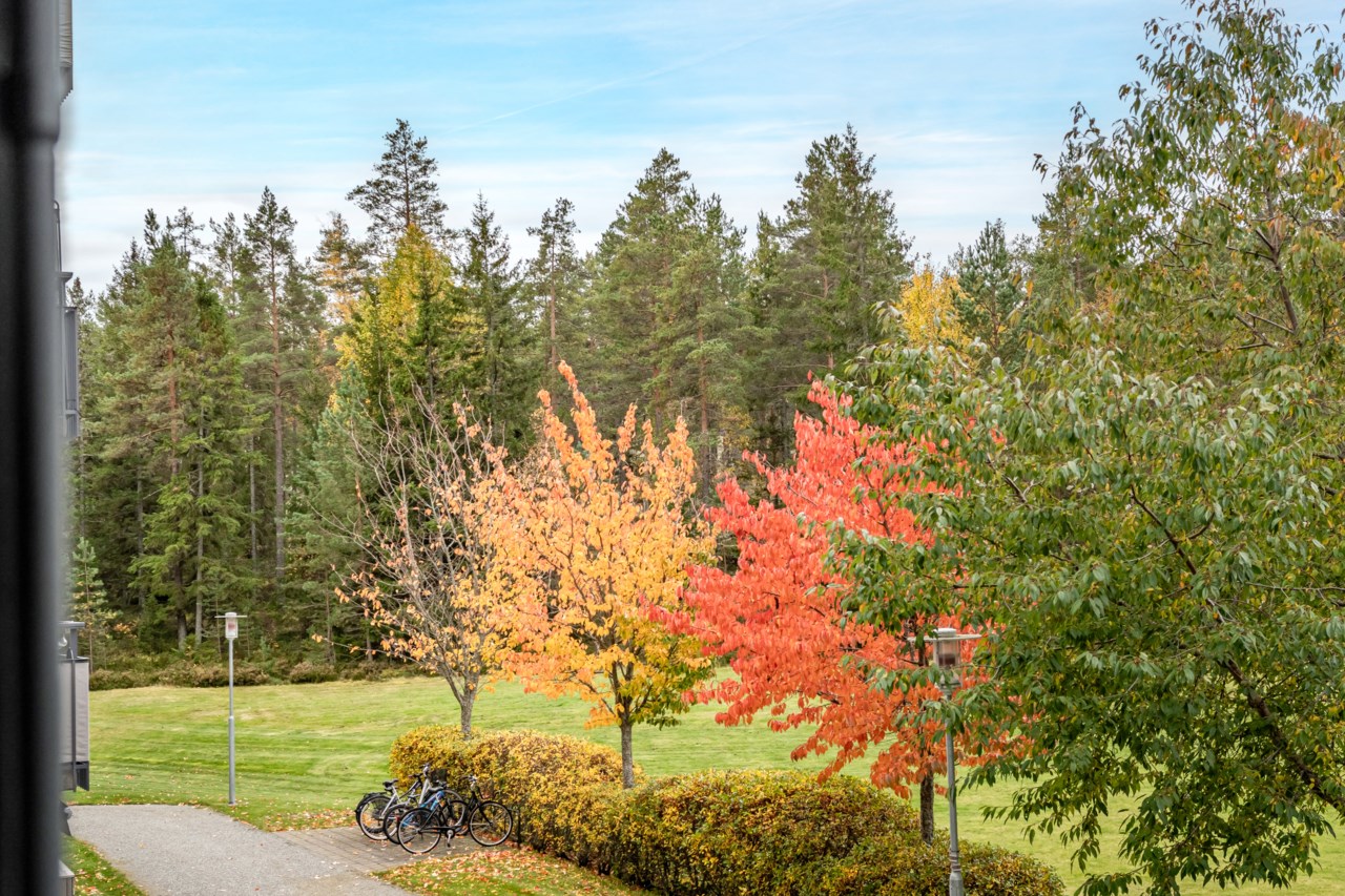 Svampskogsvägen 154