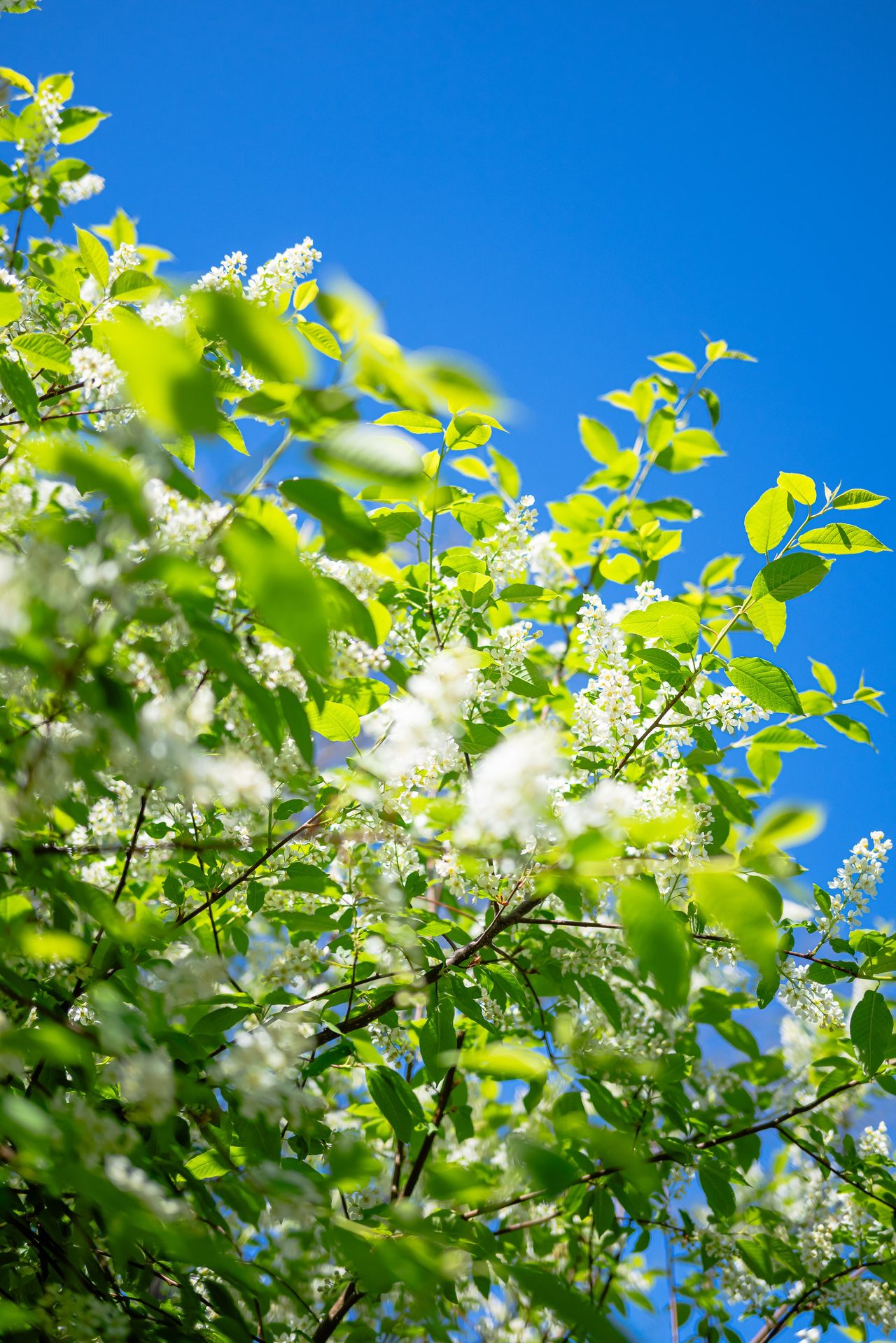 Ljusterö huvuds väg 43