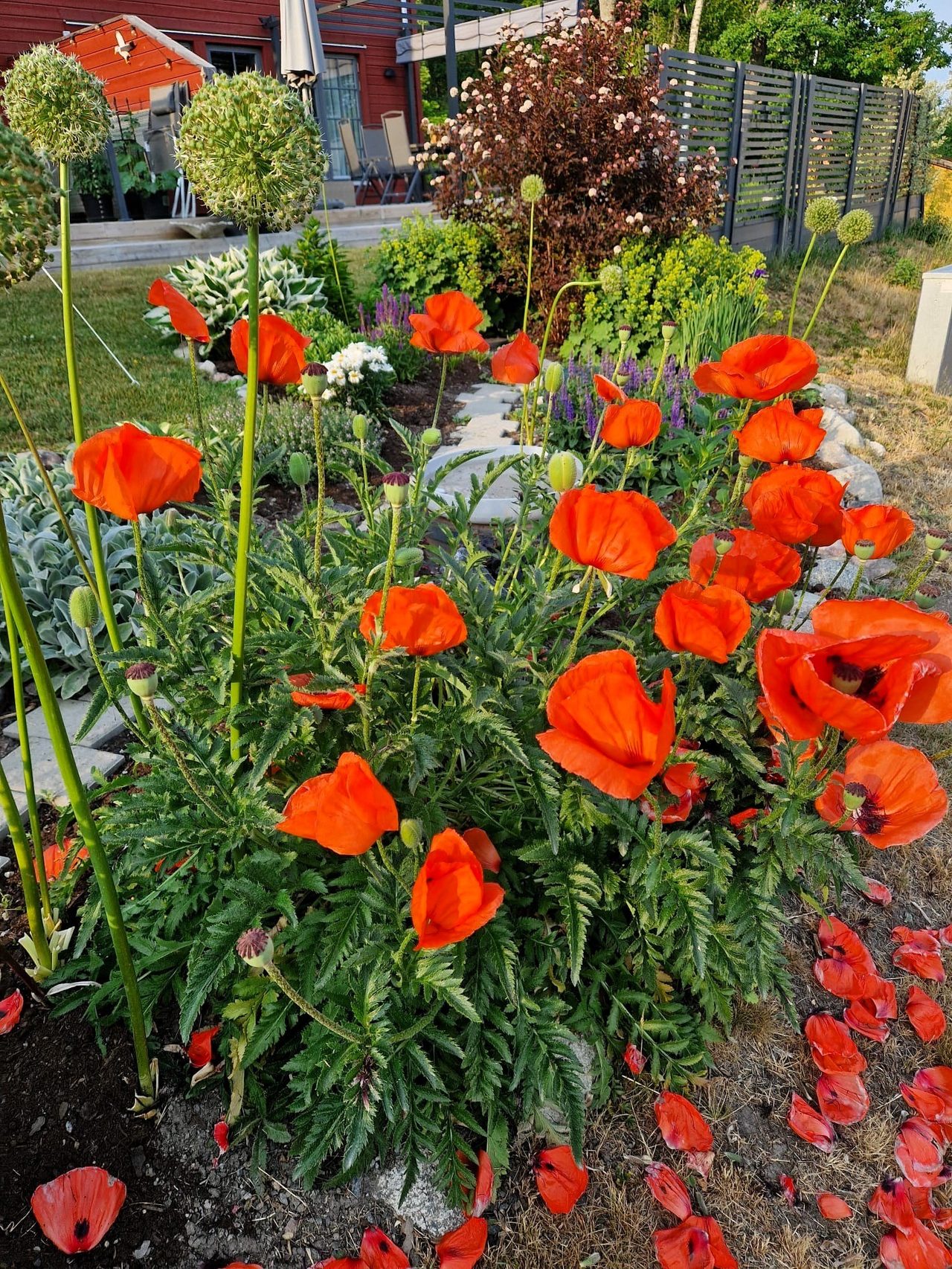 Svinningevägen 127A