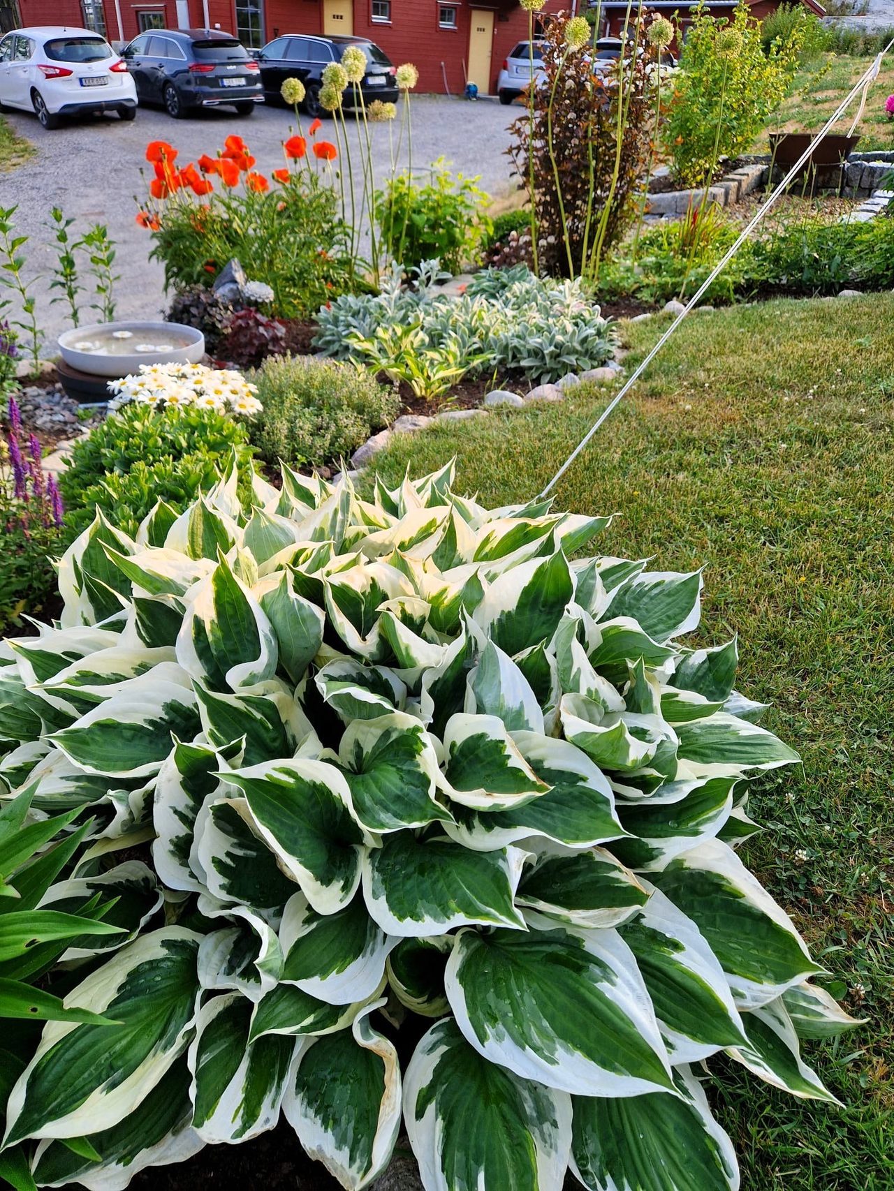 Svinningevägen 127A