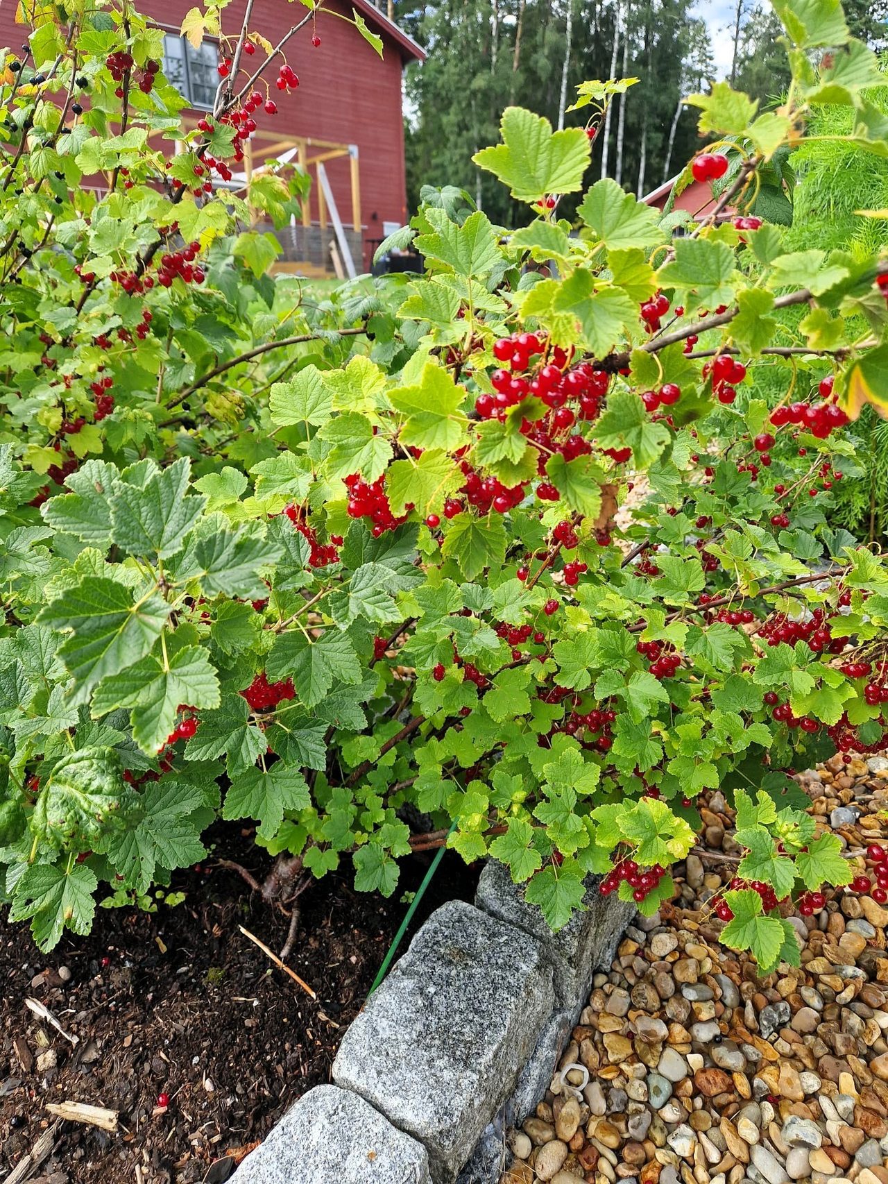 Svinningevägen 127A