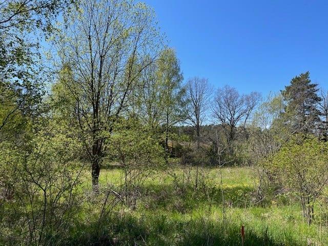 Tomt Ingmarsö bild 3