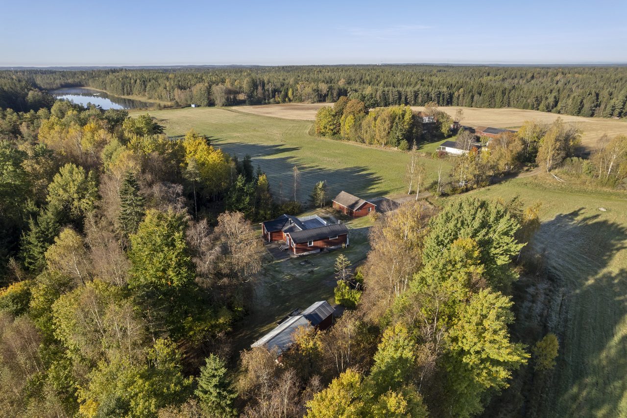 Gång promenad till sjön med bad