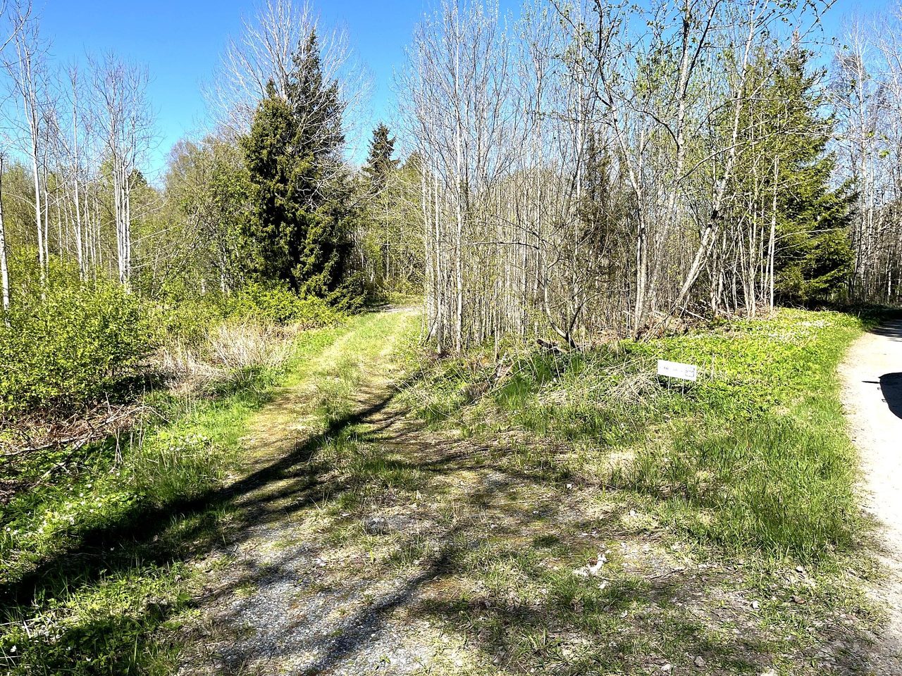 Skogsväg för infart till tomt