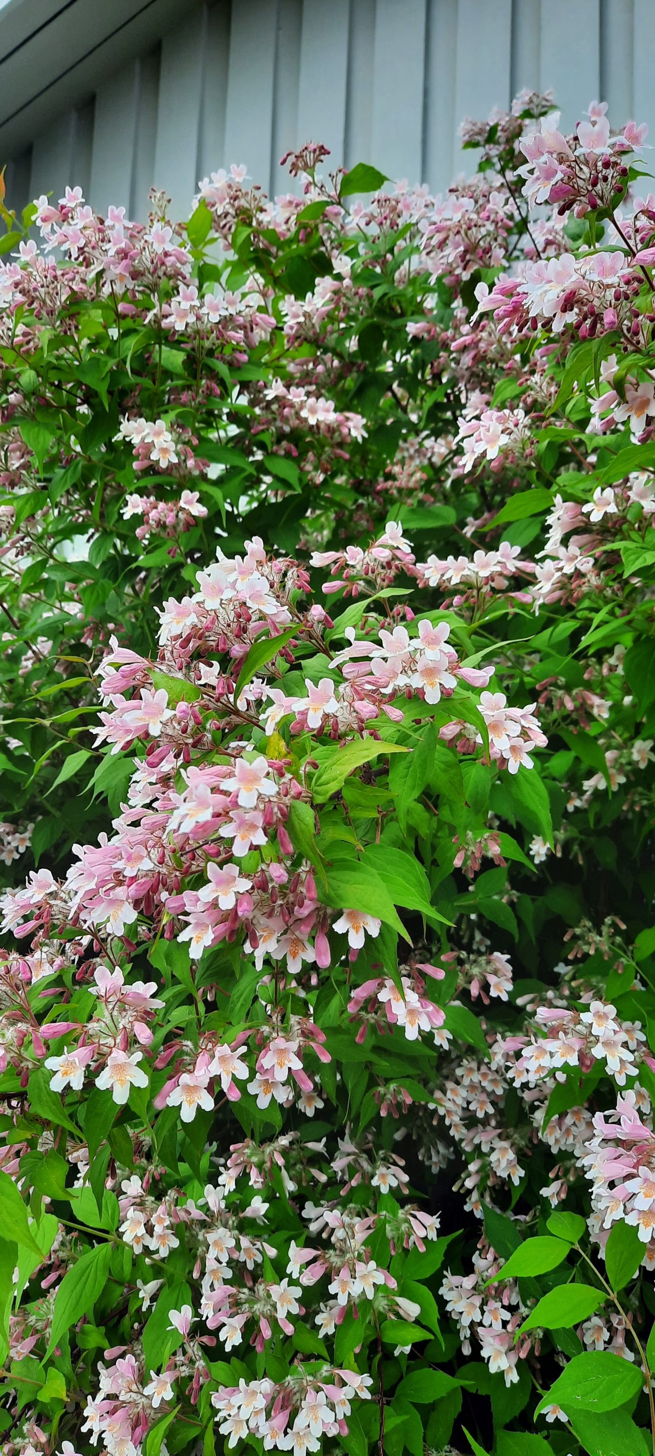 Fjälketorpsvägen 32